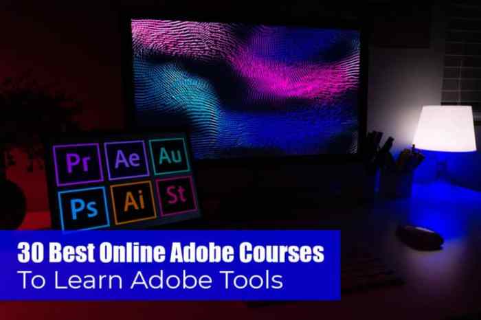 Adobe courses online