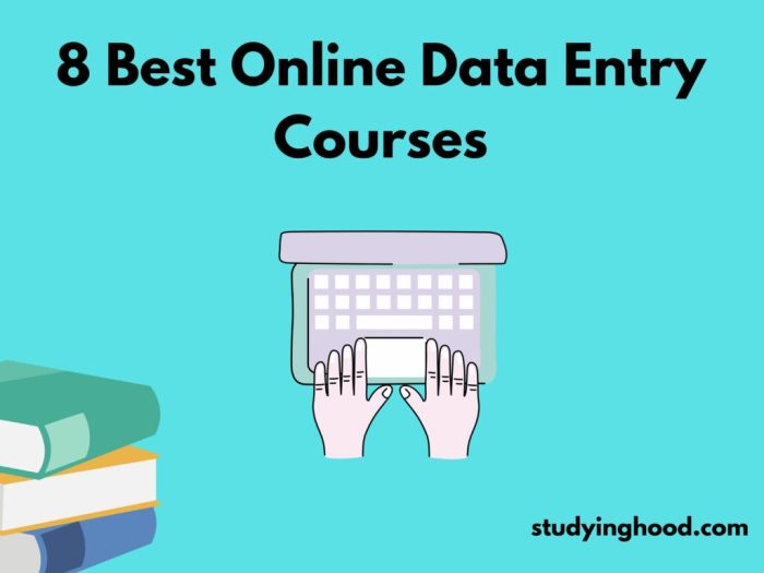 Data entry courses online