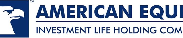 Investment equity american insurance health life companieshistory