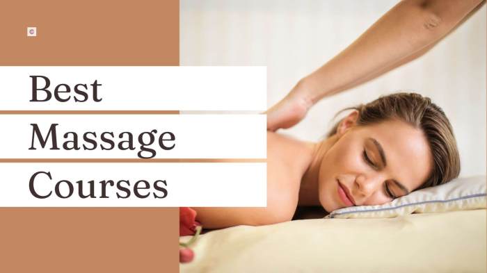 Massage therapy courses online