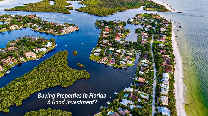 Investment properties in florida