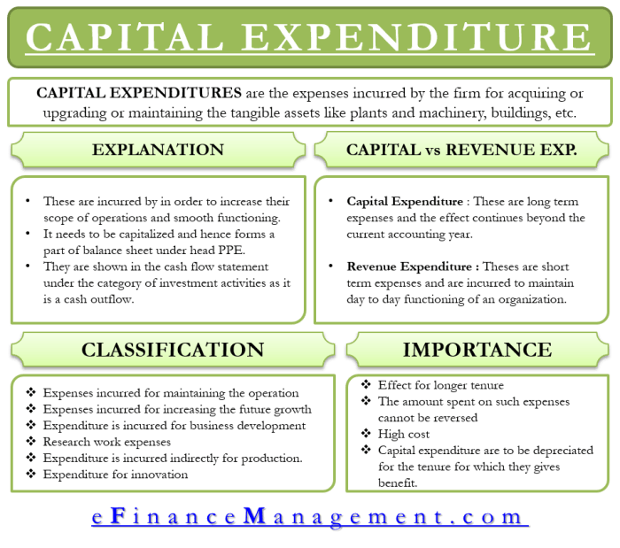 Capital investment definition