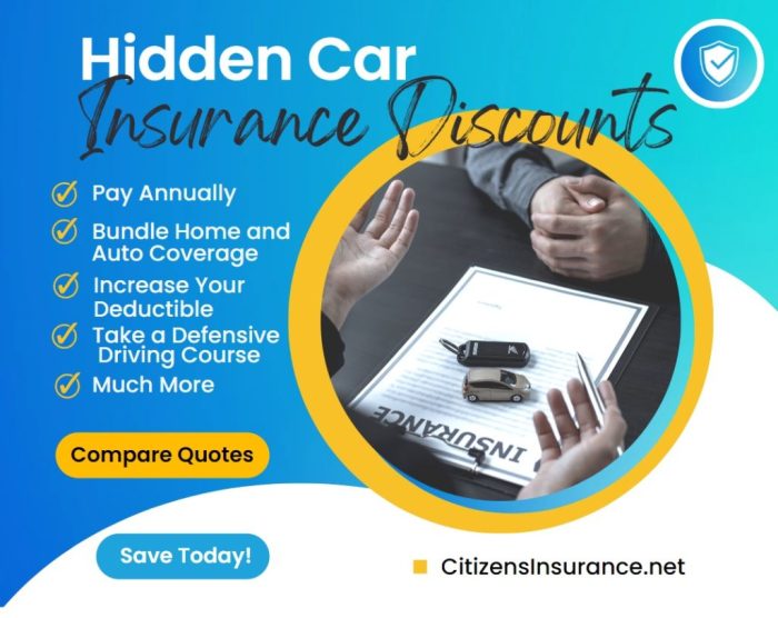 Mendota car insurance