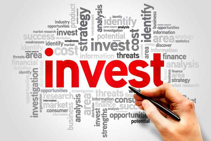 Business investment opportunities