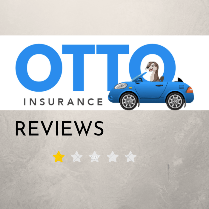 Otto car insurance reviews