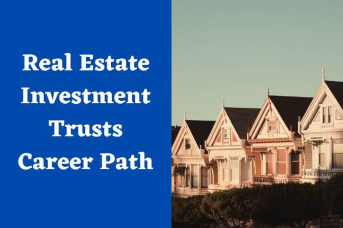 Is real estate investment trusts a good career path