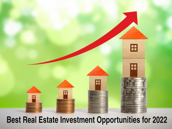 Investment opportunities estate real property mashvisor