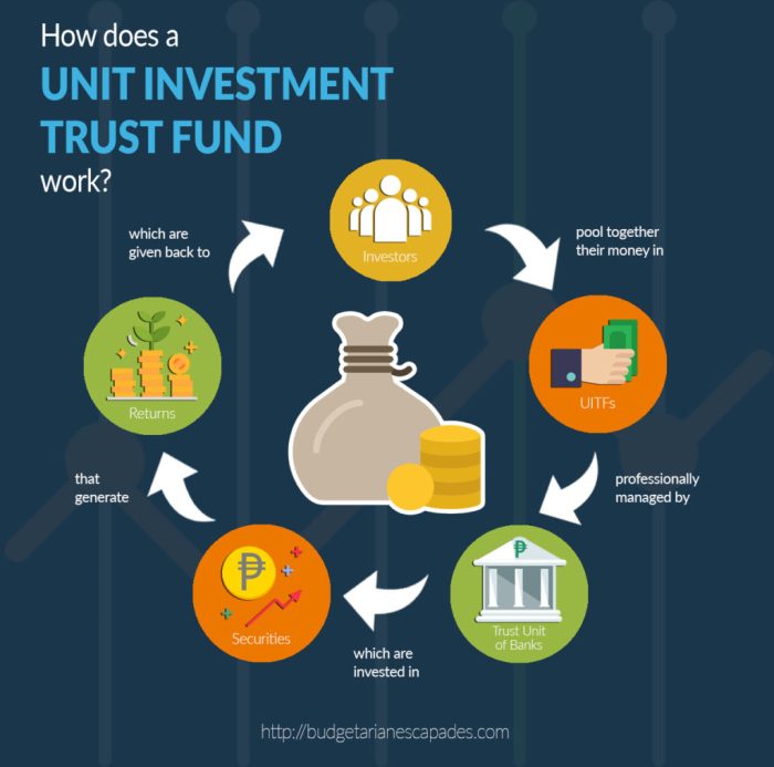 Investment trust unit fund uitf