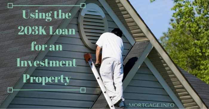 Investment loan loans