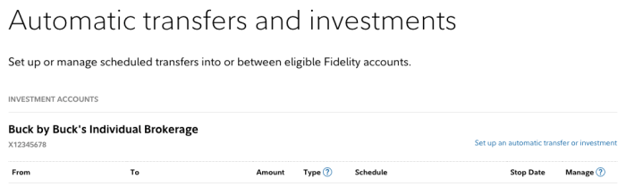 Fidelity automatic investment