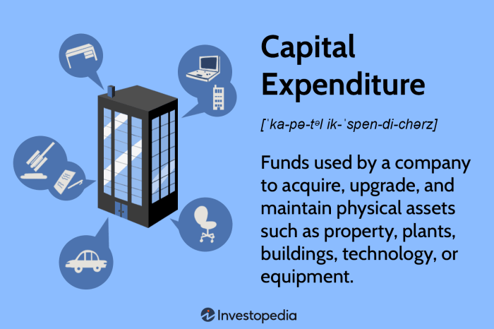 Capital investment definition