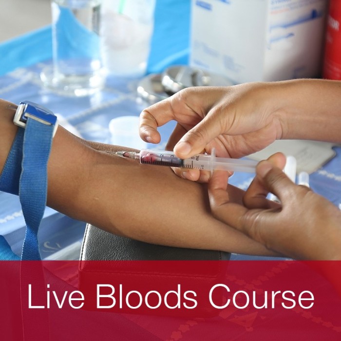 Phlebotomist online courses