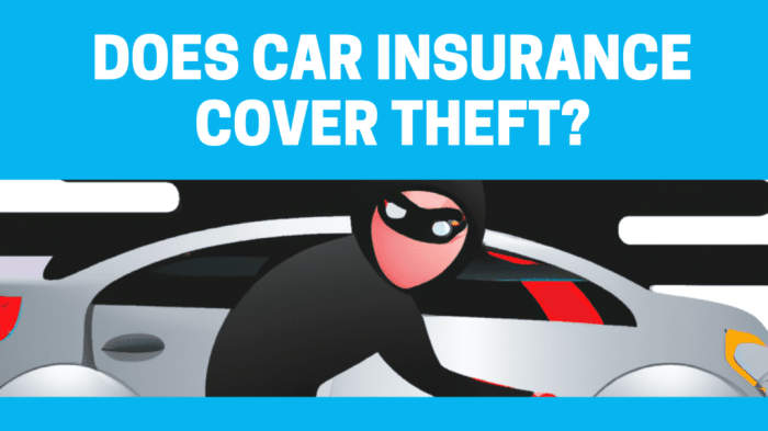 Does insurance cover stolen car