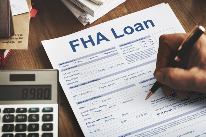 Fha loan for investment property