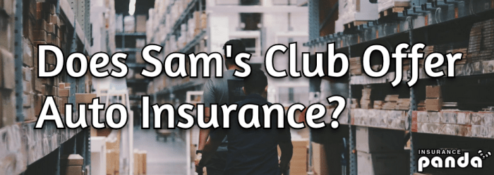 Sam's club car insurance