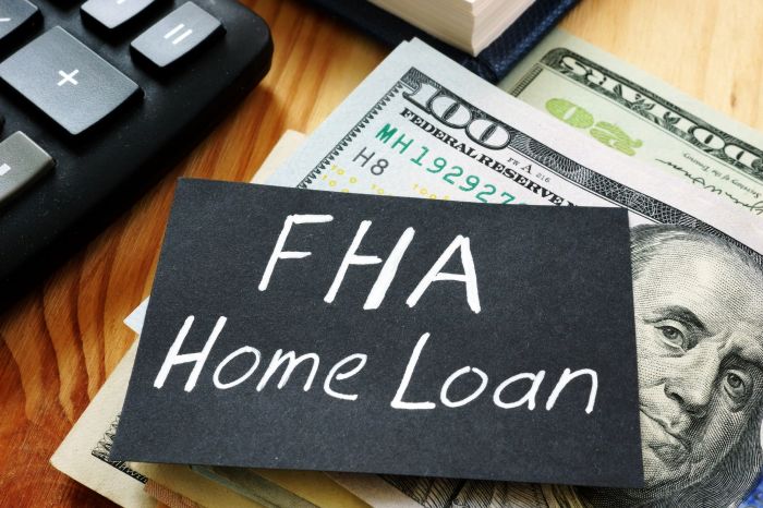 Federal fha administration loan housing inscription hrd documents financial americans disabilities