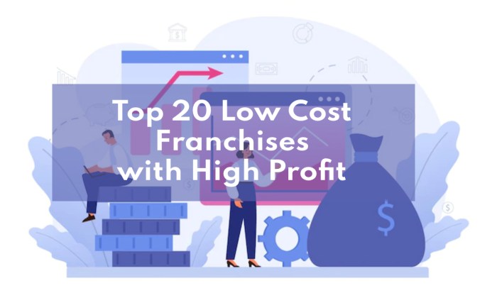 Best franchises to own with low investment