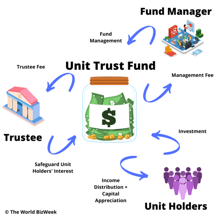 Unit investment trust