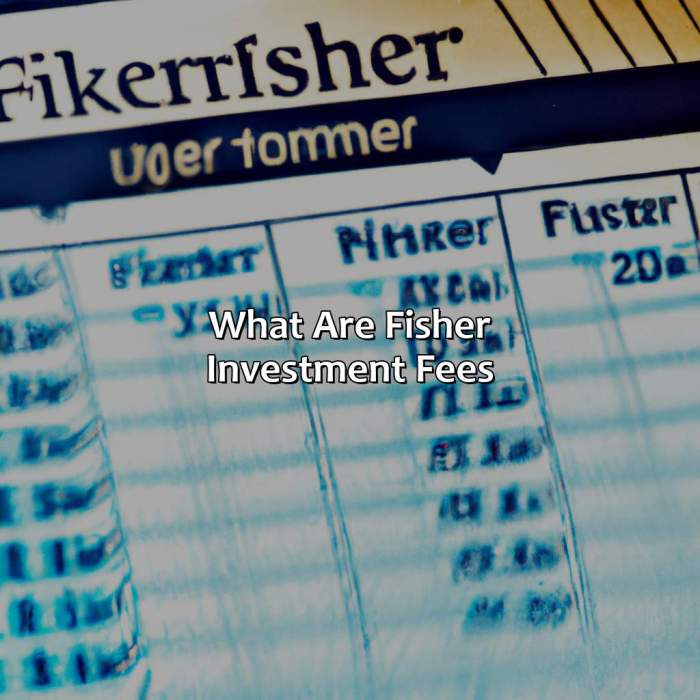 What are fisher investment fees